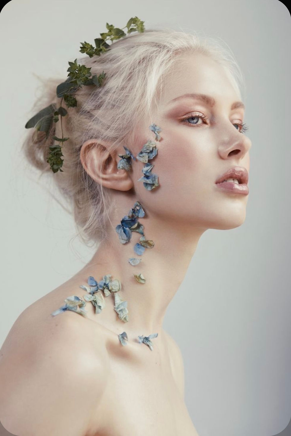 Laser Bikini Hollywood The Elite Clinic