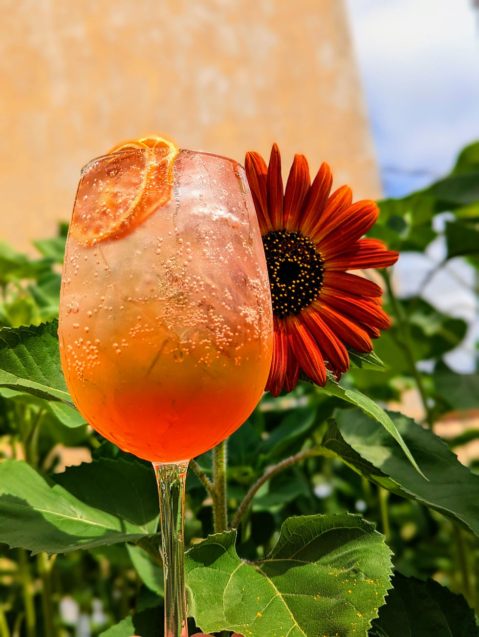 National Aperol Spritz Day 2026