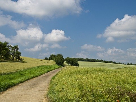 Expropriation Without Compensation: The Law (In a Nutshell)