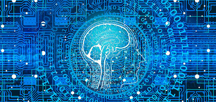 ingeniería neuromórfica aplic