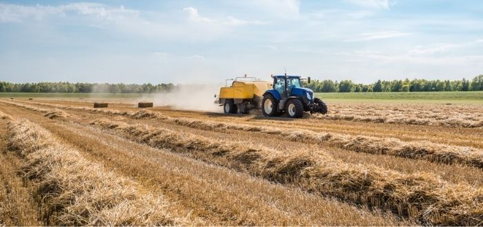 Usos de la energía biomasa para los suelos