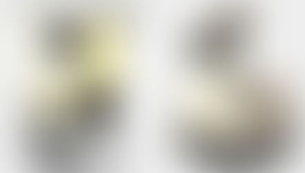 Autodesk lanza los diseños Open Source de su impresora 3D Ember