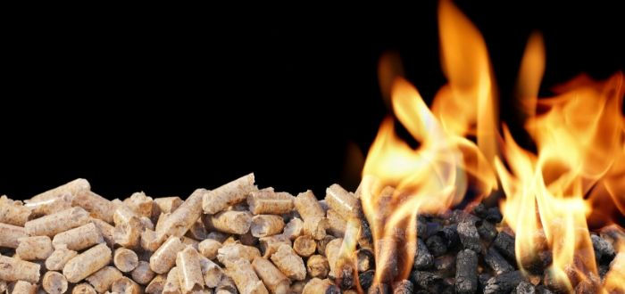 Cómo funciona la energía de biomasa