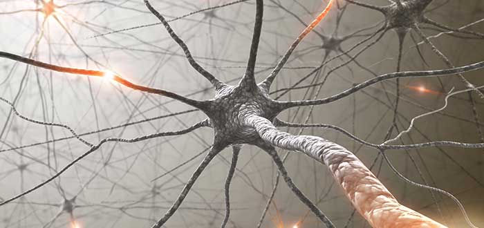 conexiones-cerebrales