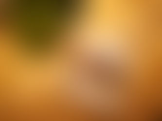 Reseña de Las ratas