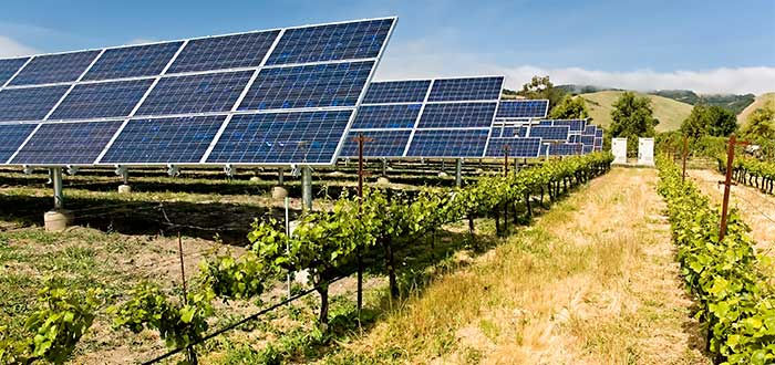 1-Energía-agrovoltaica-4