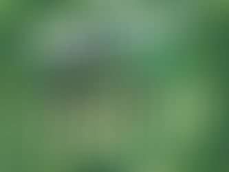 Reseña de La llamada de Cthulhu de Lovecraft