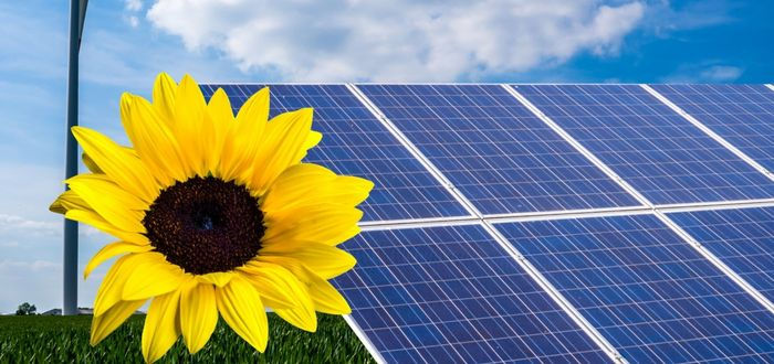 Placa solar mixta