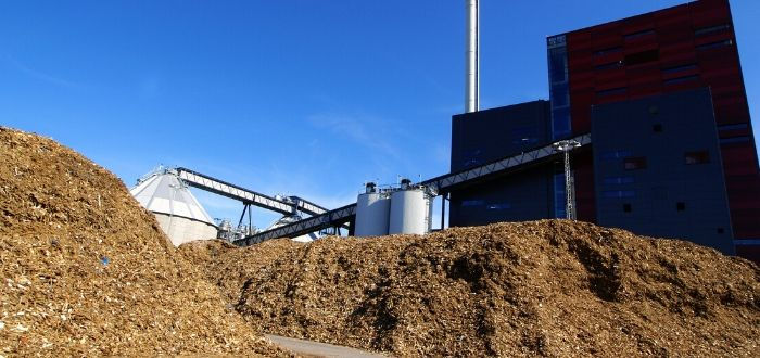 Qué es la energia de biomasa