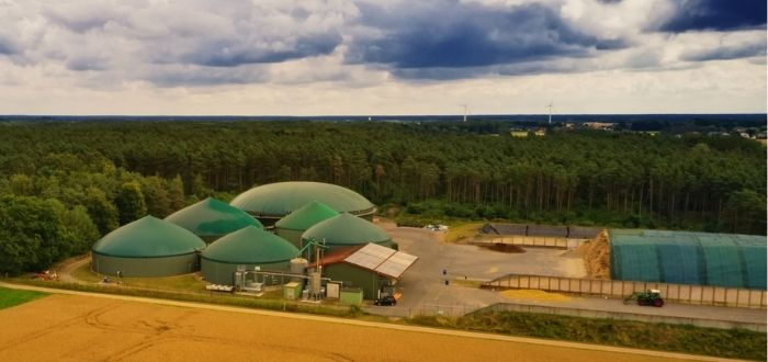 Planta de biomasa | Usos de la energía biomasa