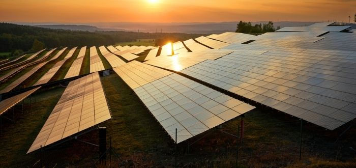 Campo con paneles solares fotovoltaicos