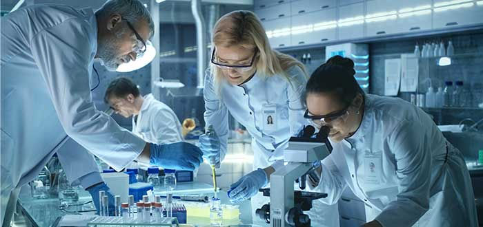 órganos-humanos-investigación