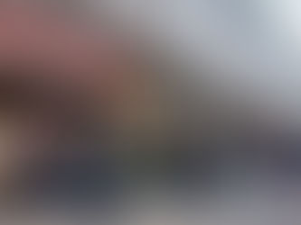 Empleo en medioambiente. Presente y Futuro