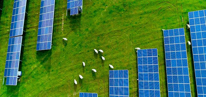 1-Energía-agrovoltaica-3
