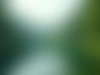 Explore Jefferson County's Hidden Tourism Gems