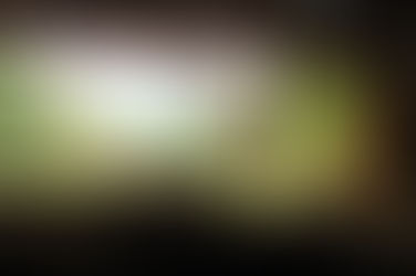 First Media Project of 2014/15 School Year