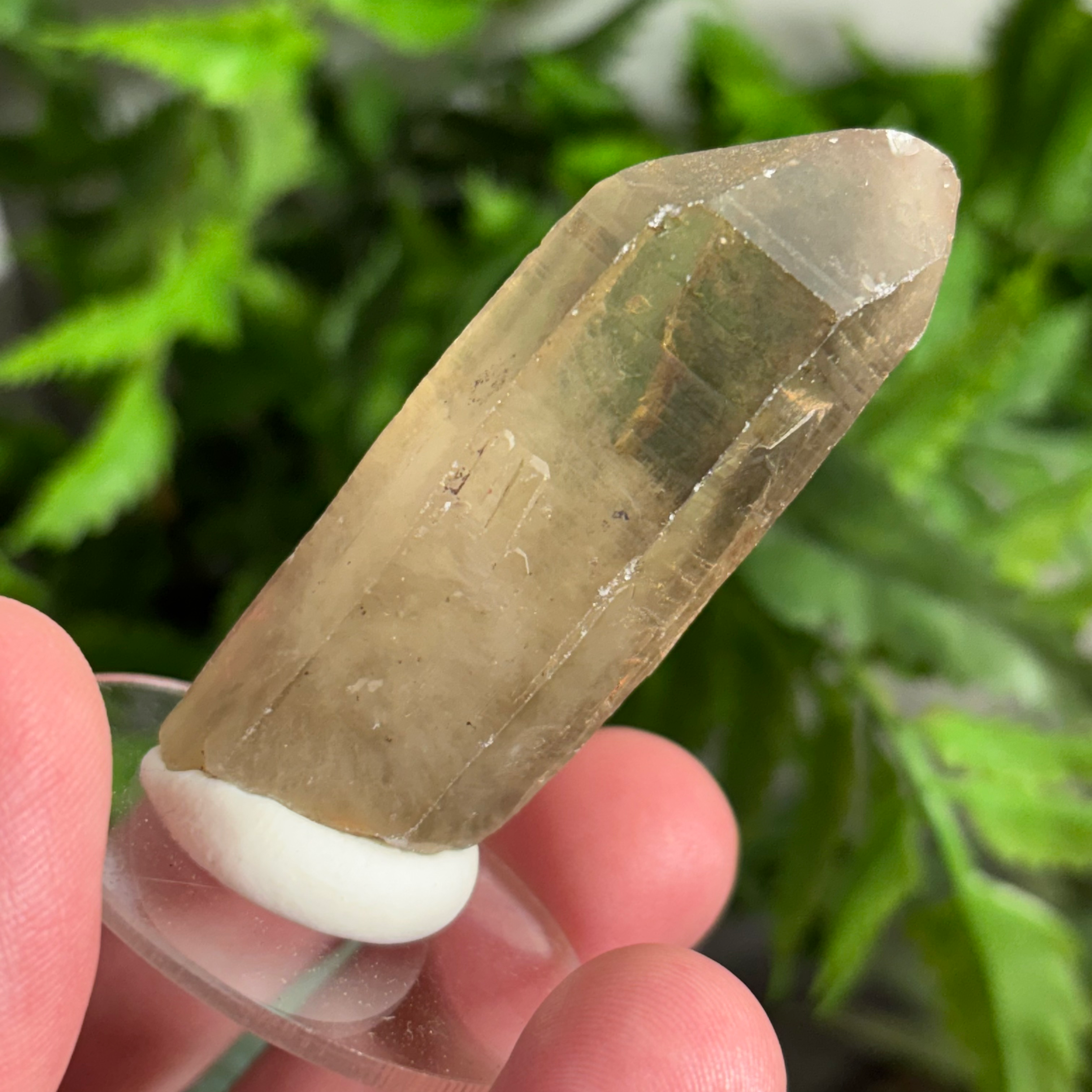 NATURAL CITRINE/SMOKEY QUARTZ with HEMATITE 