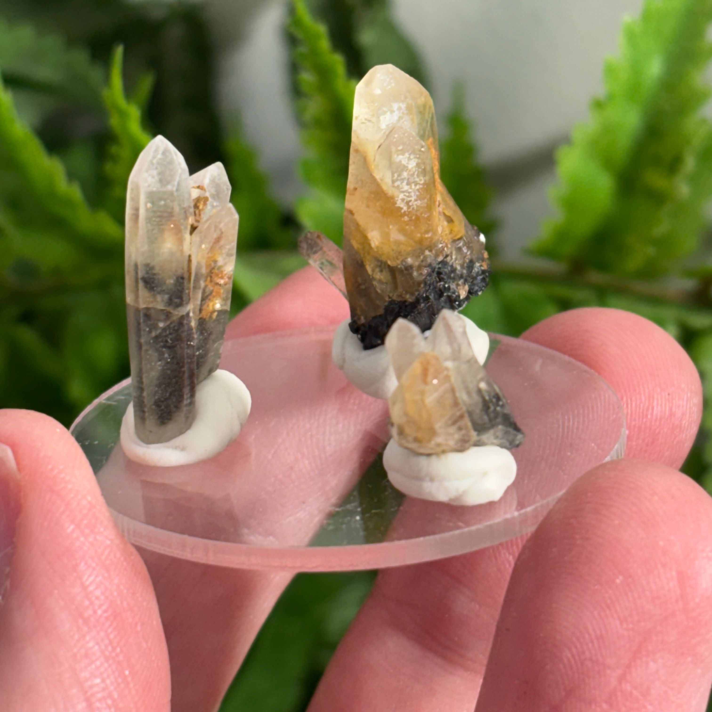 BLACK TOURMALINE IN QUARTZ WITH IRON -TORRINGTON NSW 