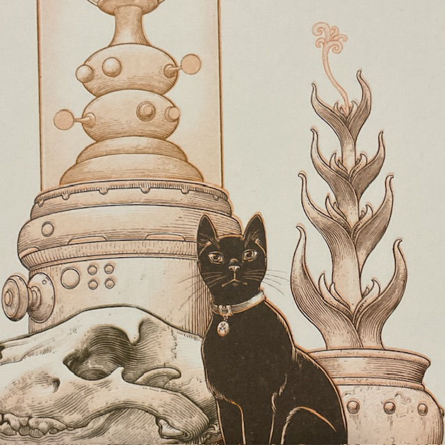 Thumbnail: Black Cat. A5 Risograph