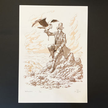 illustration