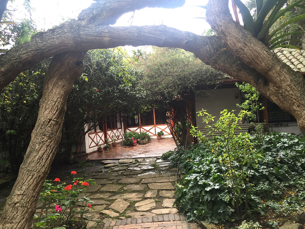 Vista Buena