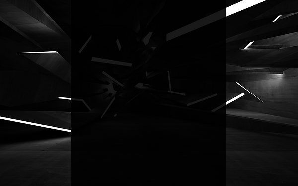 EXPERTISE02.png