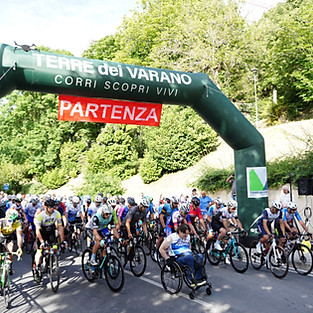 XV edizione