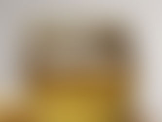 Cerveza Presidente invita a "Salir con Moderación"