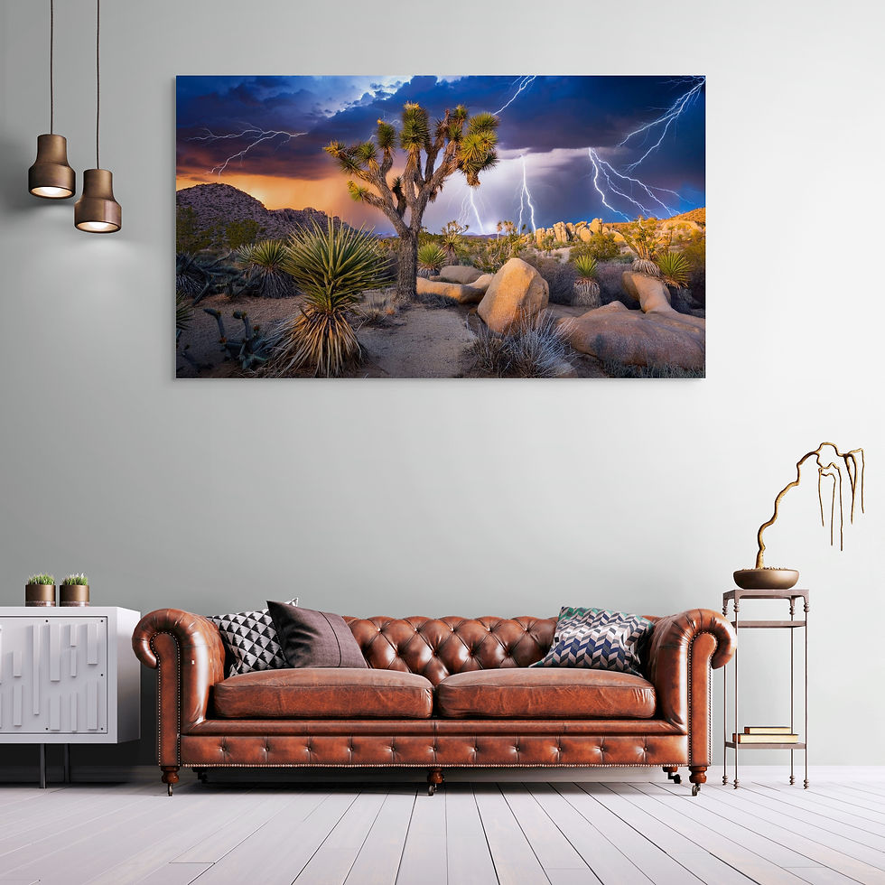 Thumbnail: Joshua Tree with a Golden Sunset with Lightning and Beautiful Rock Forma