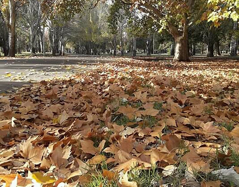 parque Hirigoyen.jpg