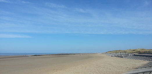 20130406_141046_edited.jpg