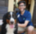 Trattamento-Manuale-Cane.jpg