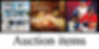 icon-auction-items.jpg