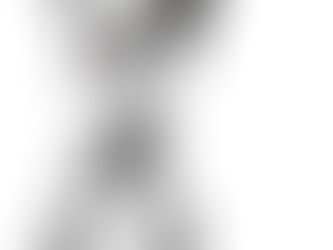 Celebrity... David Bowie