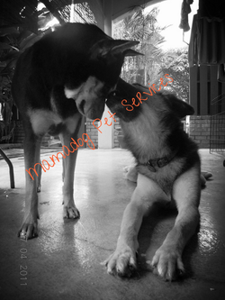 Edited Image 2013-8-3-13:34:0