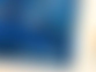 В России утвердили новую разновидность въездной визы