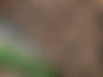 Почти 70 тыс. россиян открыли в 2022 году счета в банках Узбекистана