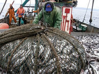 Стоимость трудового патента для иностранцев в Хабаровском крае вырастет в 2019 году
