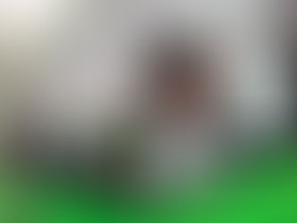 Тюменский губернатор Моор на год продлил запрет для мигрантов на управление автобусами