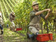 Иностранцам придется больше платить за работу в Крыму