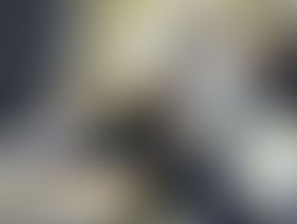 Стоимость госпошлины за получение вида на жительство повысится