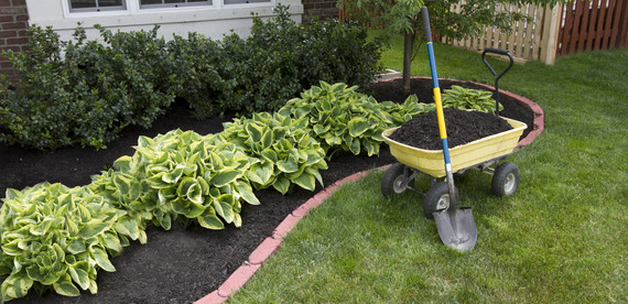 Mulching/Top Dressing