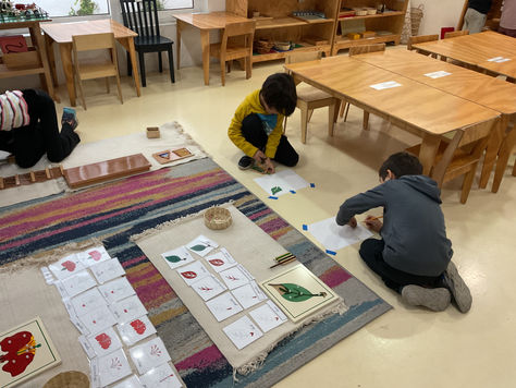 Spark | Year 5 | Session 3 | Week 4