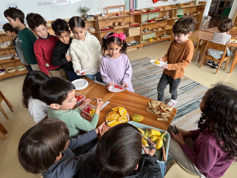 Spark | Year 7 | Session 4 | Week 5