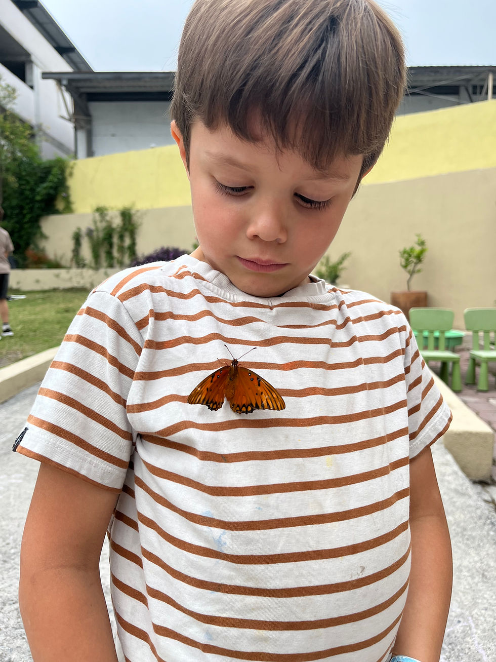 Spark Studio – Volver Para Mirar Distinto - Semana 1