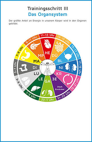 trainingsschritte-3.jpeg / Theralogy Int.