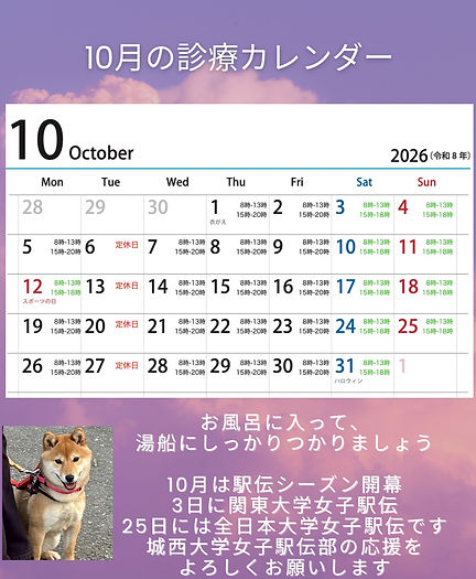 3AE47BB6-AC00-4F74-B31A-A71F260111BD_1_102_o.jpeg
