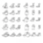 Cookie Mold & Press Kit – 30Pcs