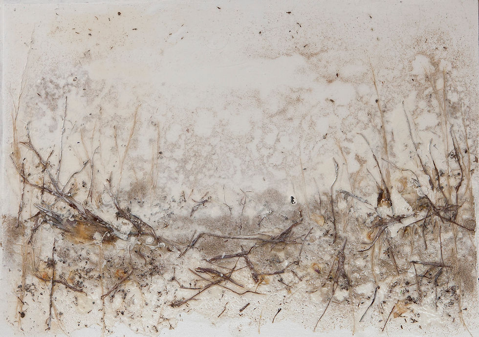 Renate_Fäth_Elfenbein_Serie_Moor_33x46cm_2018_Acryl_Palmengras_Sand_Pappe_gerahmt_50x60cm-
