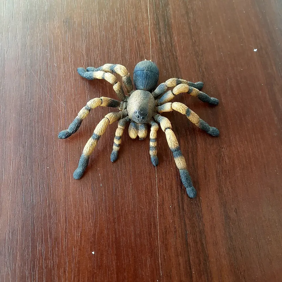 Прев'ю: Іграшка-конструктор Павук-птахоїд